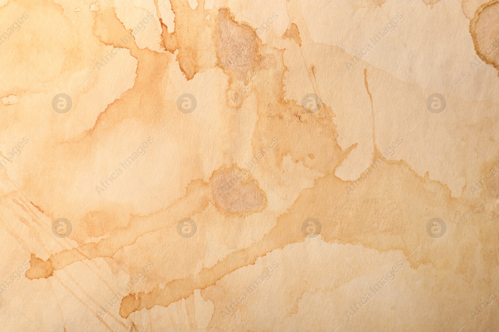 Photo of Sheet of old parchment paper as background, top view