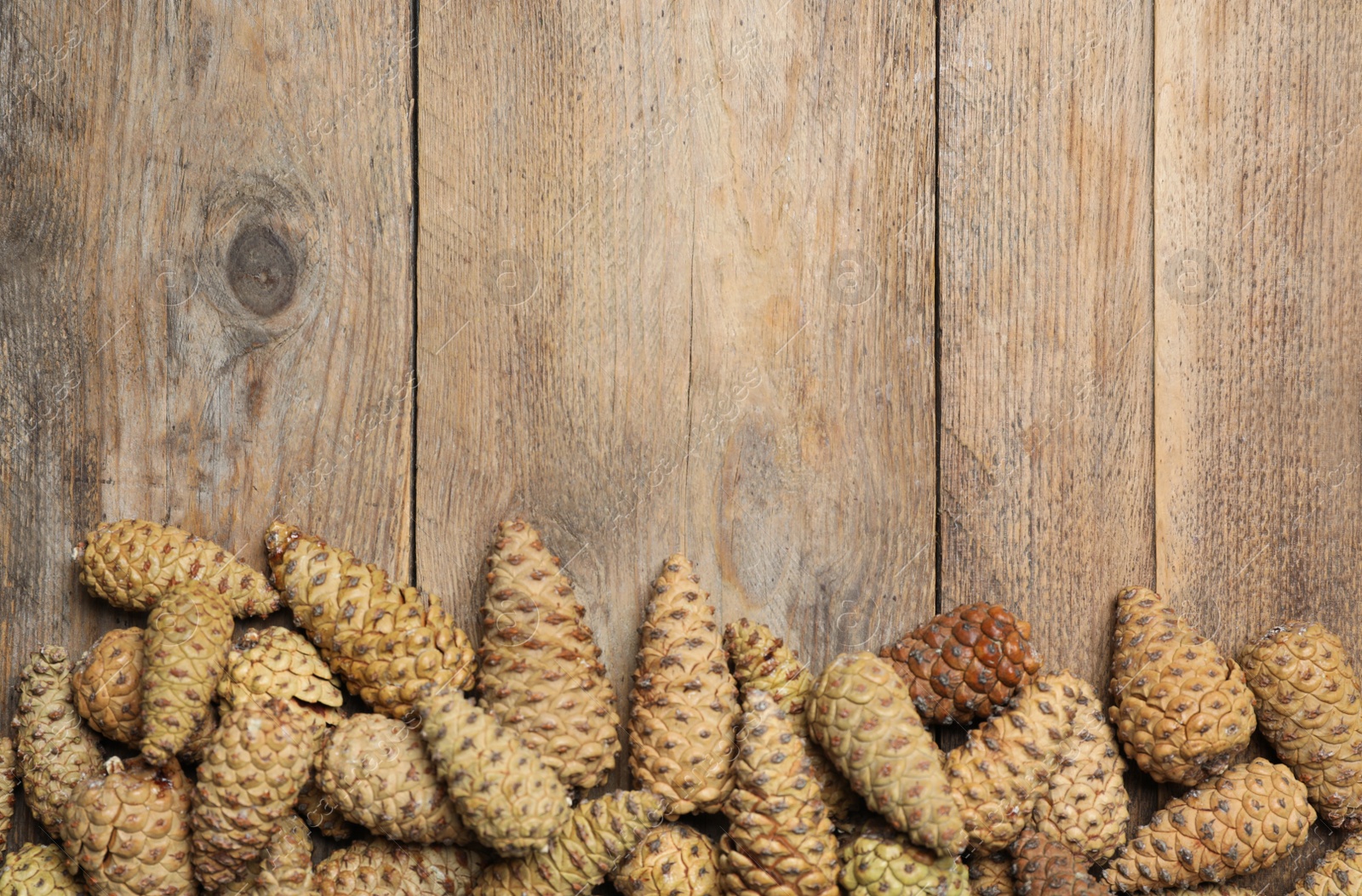 Photo of Flat lay composition with pinecones on wooden background, space for text