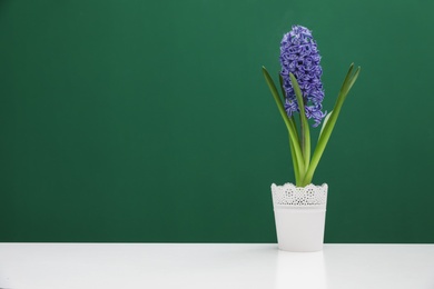 Photo of Beautiful hyacinth in pot on table against color background, space for text. Spring flower