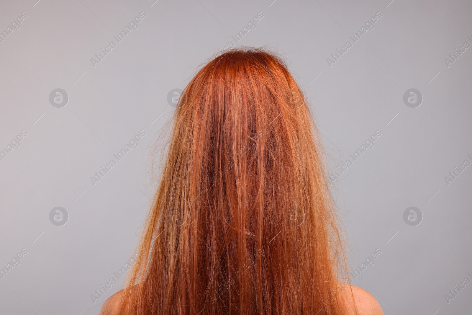 Photo of Woman with damaged messy hair on light grey background, back view