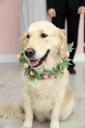 Photo of Adorable golden Retriever wearing wreath made of beautiful flowers indoors