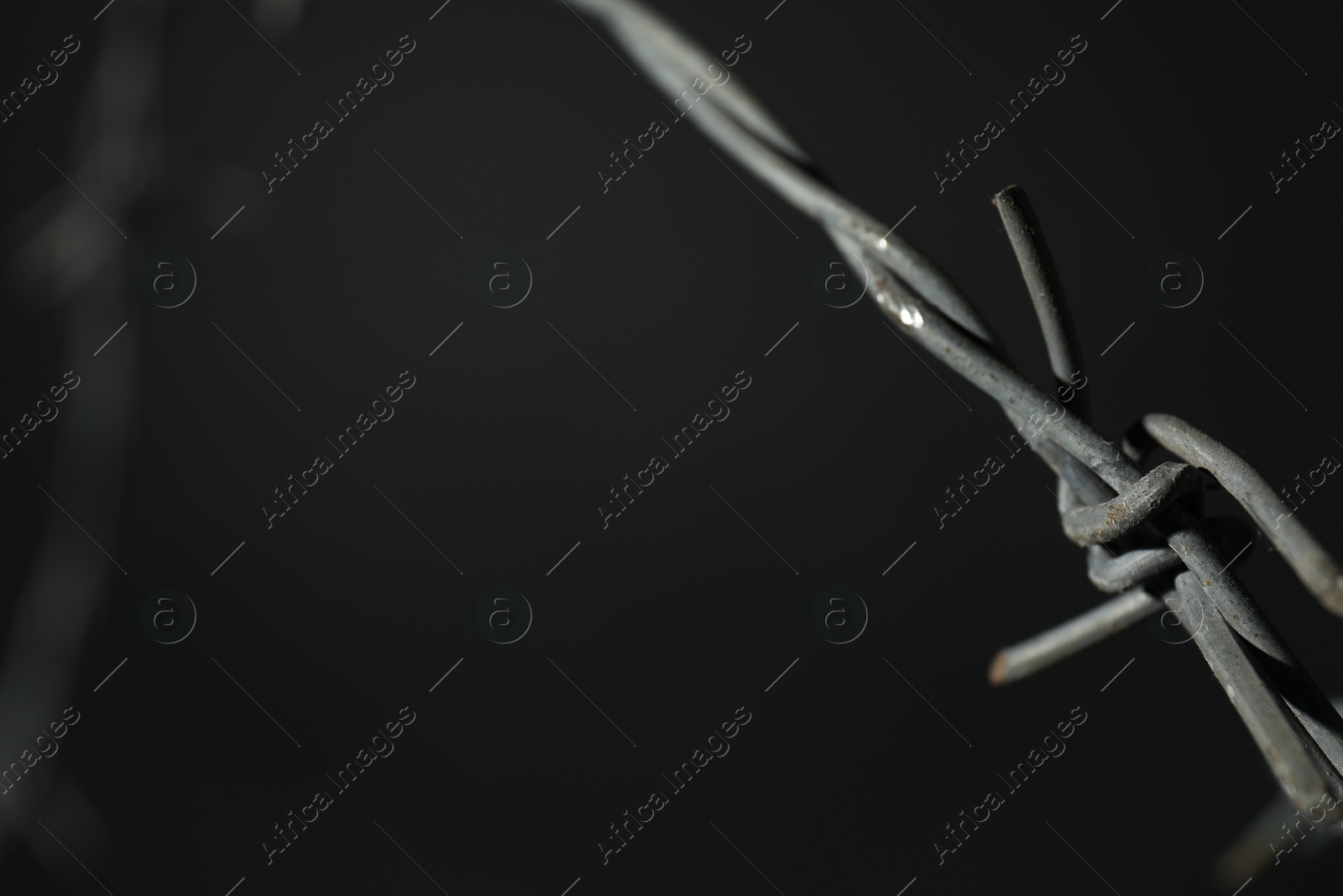 Photo of Metal barbed wire on dark grey background, closeup. Space for text