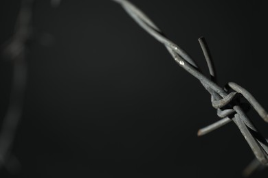 Metal barbed wire on dark grey background, closeup. Space for text