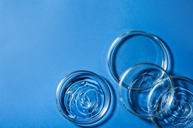 Photo of Petri dishes with liquids on blue background, flat lay. Space for text