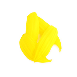 Fresh yellow sunflower petals isolated on white, top view