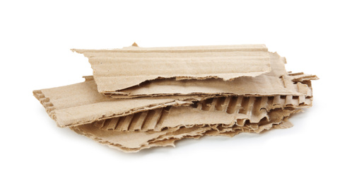 Photo of Pieces of torn cardboard isolated on white