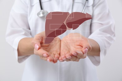 Image of Doctor with stethoscope and illustration of healthy liver on light background, closeup