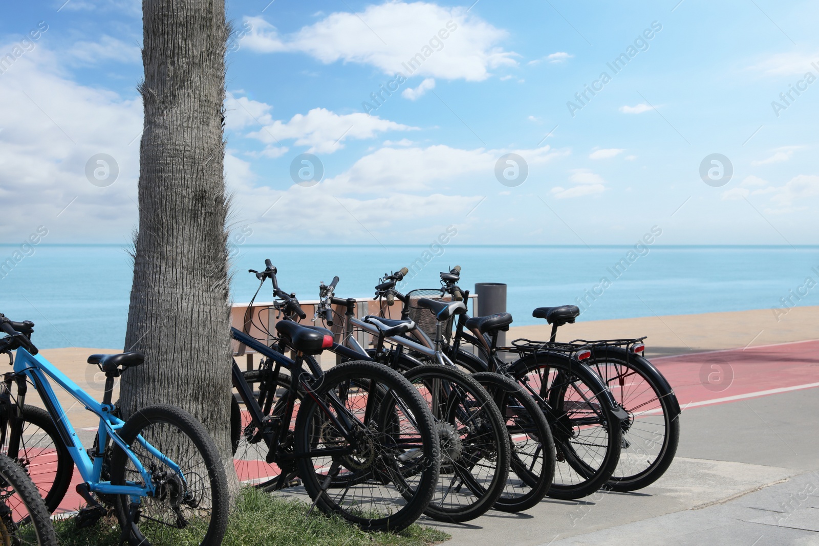 Photo of Parking with bicycles on embankment near sea