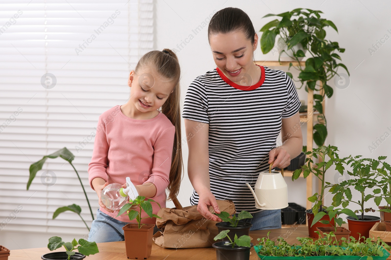 Photo of Mother and daughter taking care of seedlings in pots together at wooden table in room