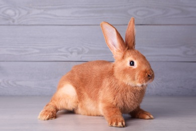 Photo of Cute bunny on grey table against wooden background. Easter symbol