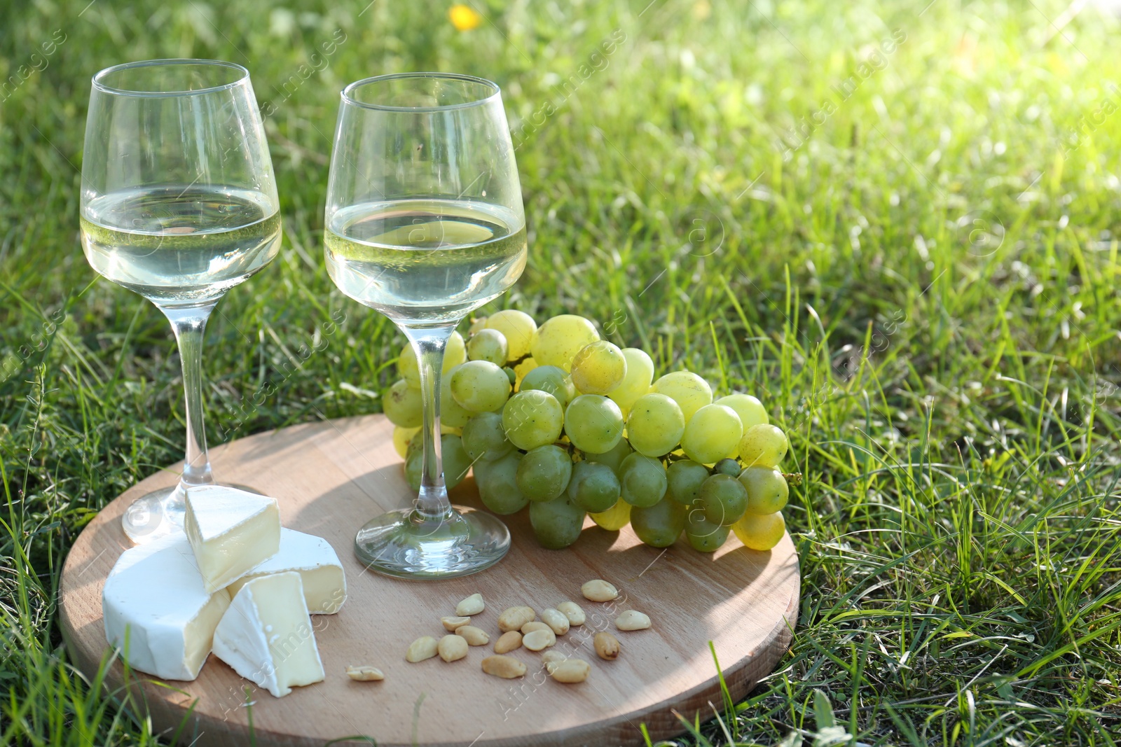 Photo of Two glasses of delicious white wine, grapes, cheese and nuts on green grass outdoors. Space for text
