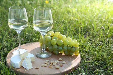 Two glasses of delicious white wine, grapes, cheese and nuts on green grass outdoors. Space for text