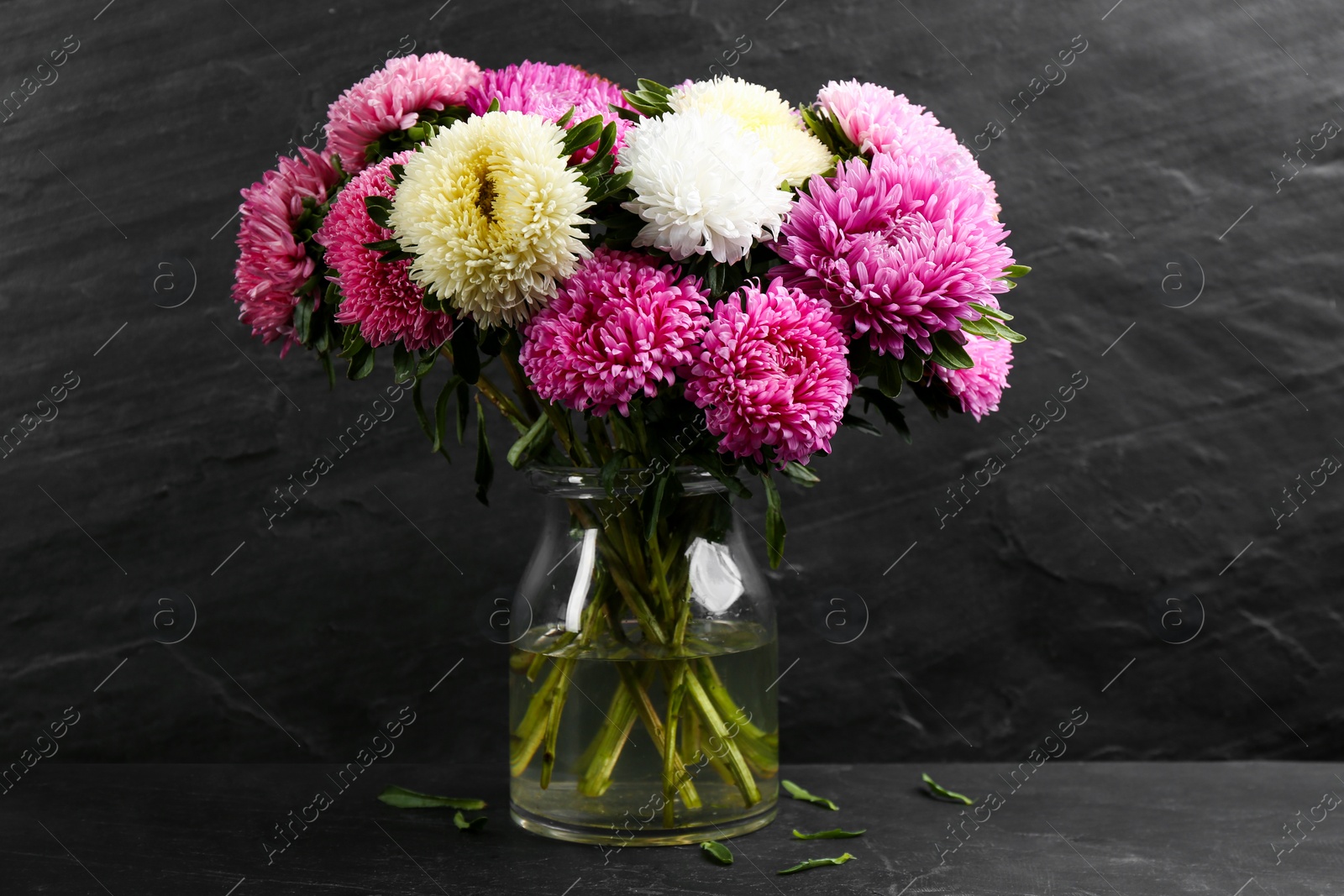 Photo of Beautiful asters in vase on table against black background. Autumn flowers