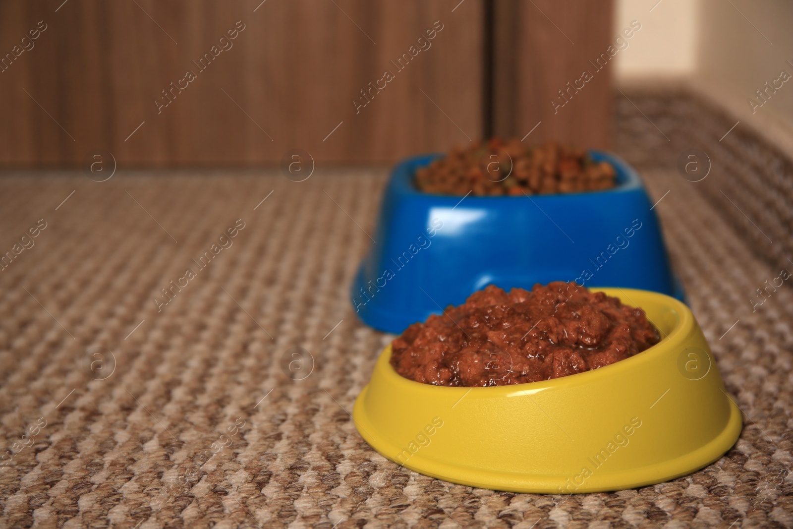 Photo of Dry and wet pet food in feeding bowls on soft carpet. Space for text