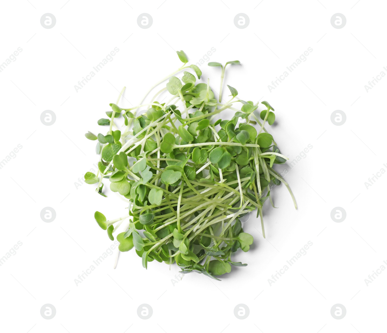 Photo of Pile of fresh microgreen isolated on white, top view