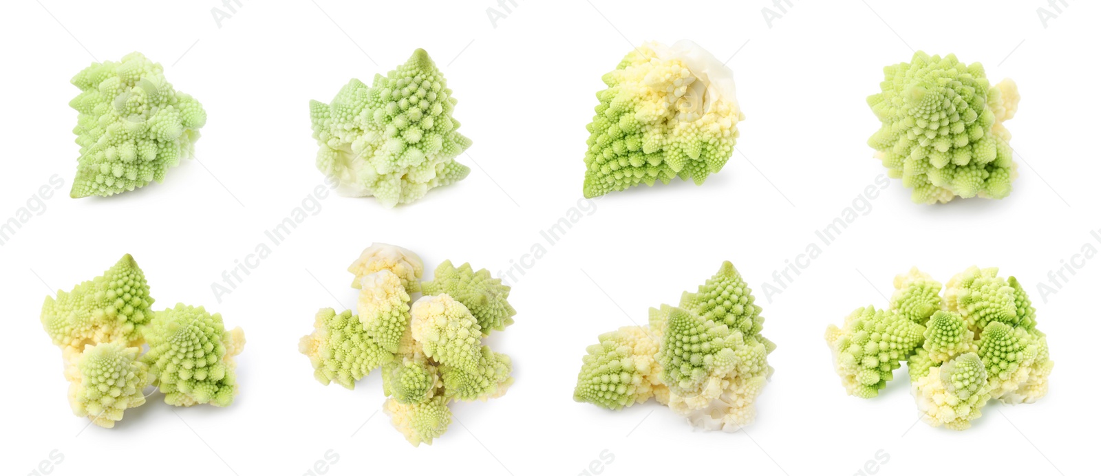 Image of Set with fresh cauliflowers on white background. Banner design
