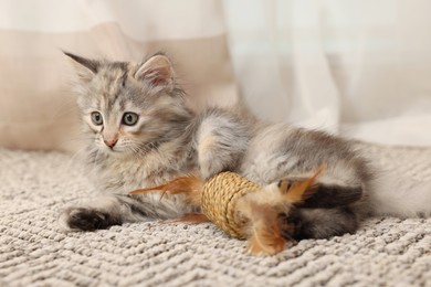 Photo of Cute fluffy kitten with toy at home