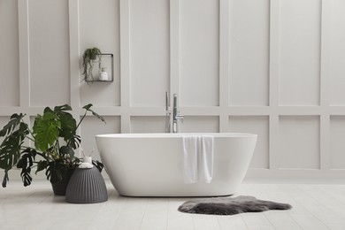 Modern ceramic bathtub and green plant near white wall indoors