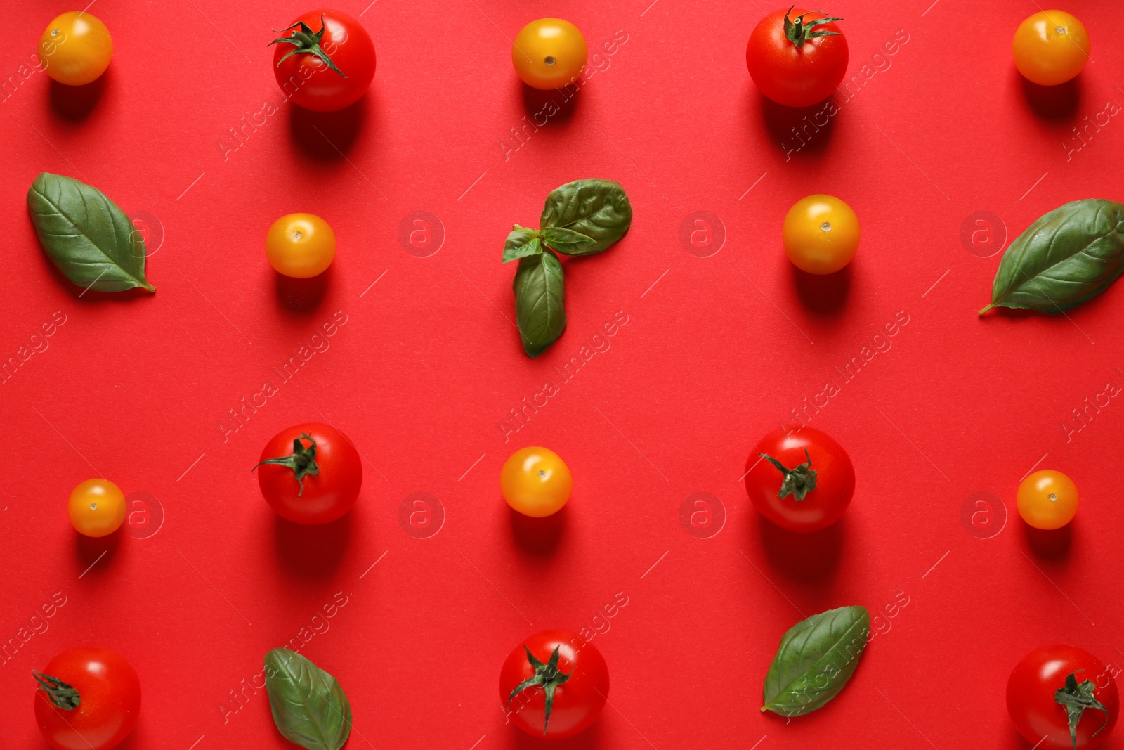 Photo of Flat lay composition with ripe cherry tomatoes and basil leaves on color background