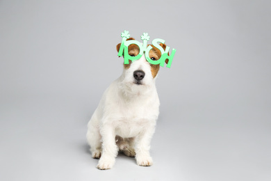 Jack Russell terrier with Irish party glasses on light grey background. St. Patrick's Day
