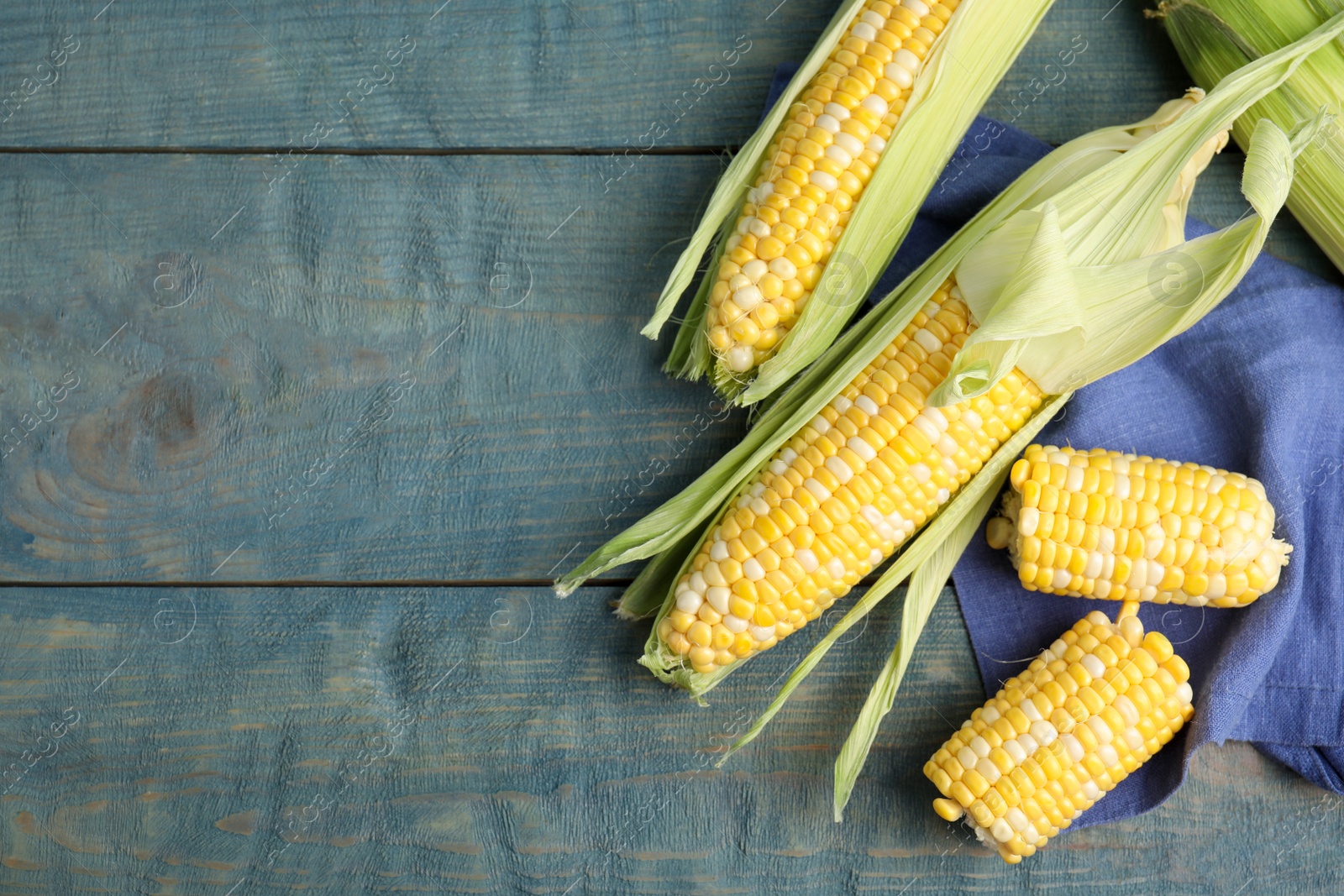 Photo of Tasty sweet corn cobs on blue wooden table, flat lay. Space for text