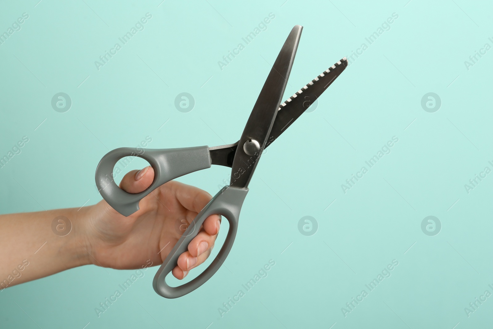 Photo of Woman holding sewing scissors on light blue background, closeup