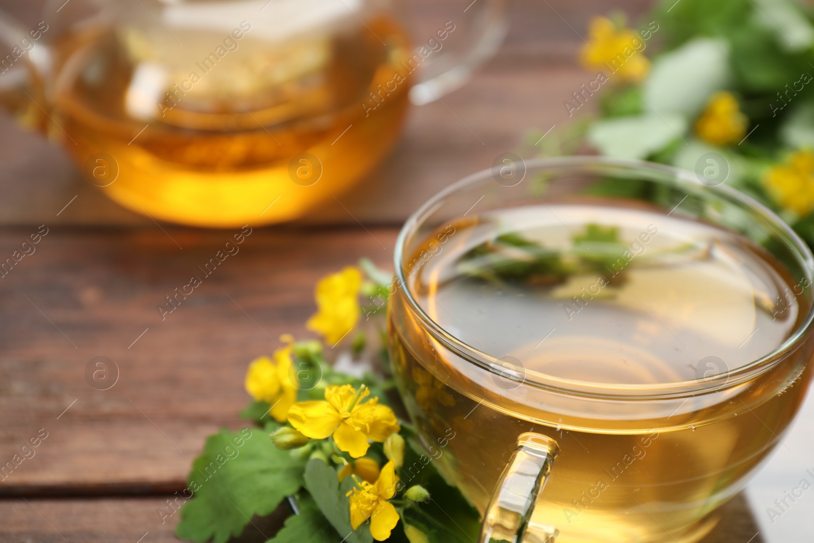 Photo of Glass cup of aromatic celandine tea and flowers on table, closeup. Space for text