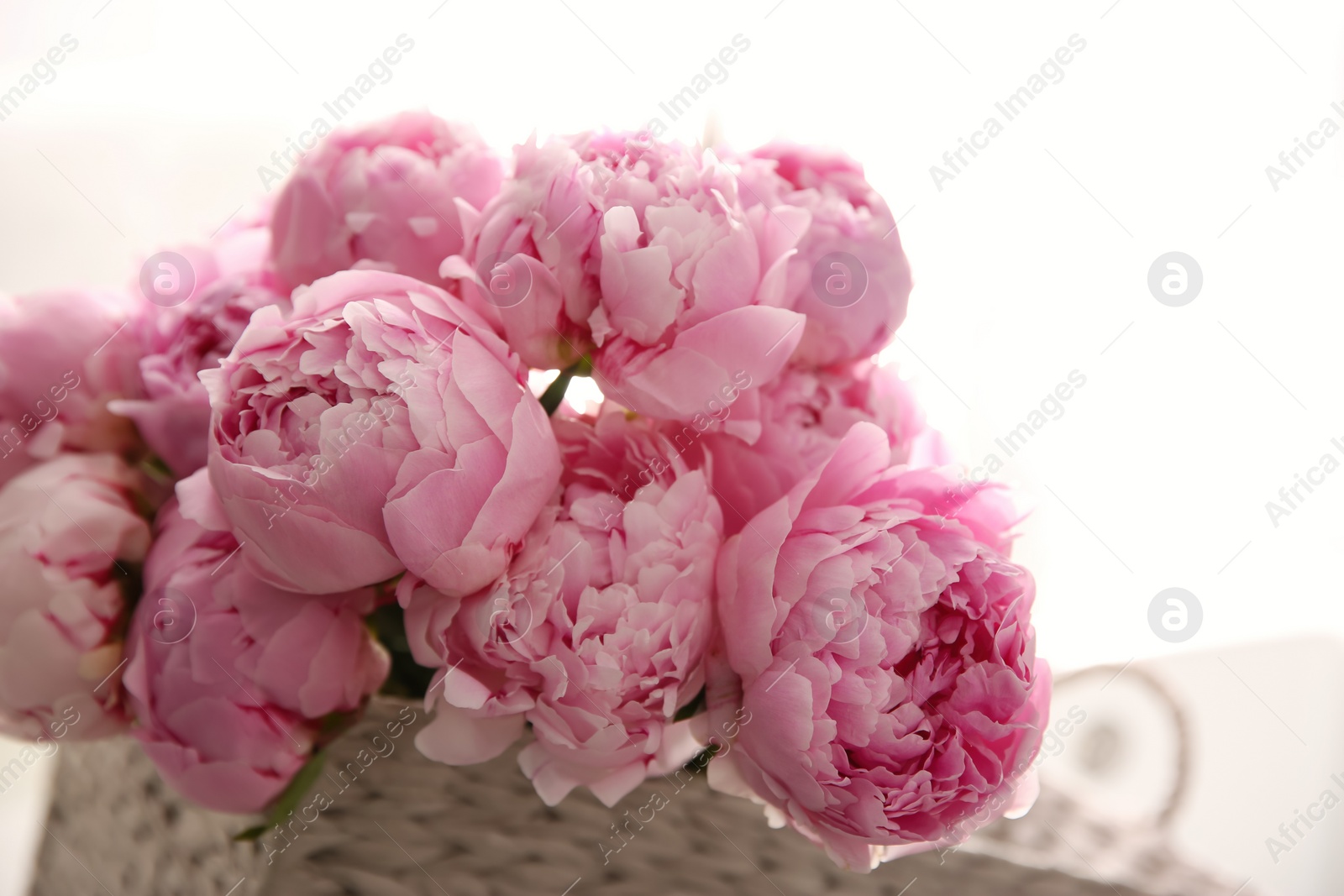 Photo of Basket with beautiful pink peonies in kitchen, closeup