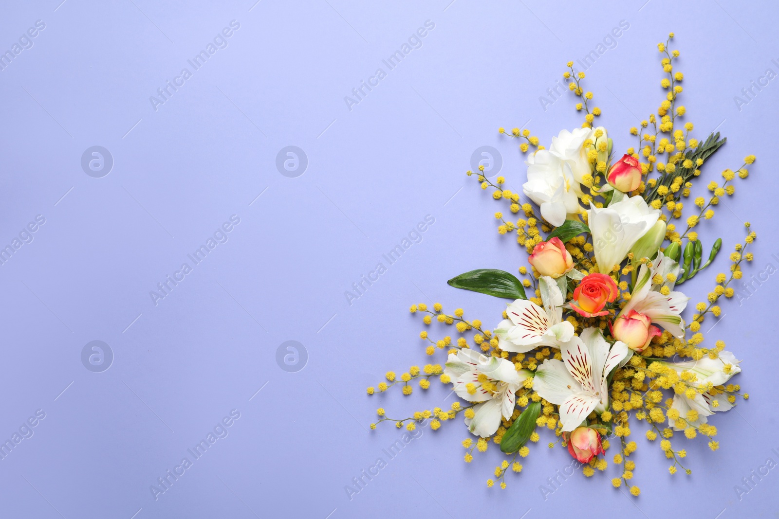 Photo of Beautiful floral composition with mimosa flowers on light blue background, flat lay. Space for text