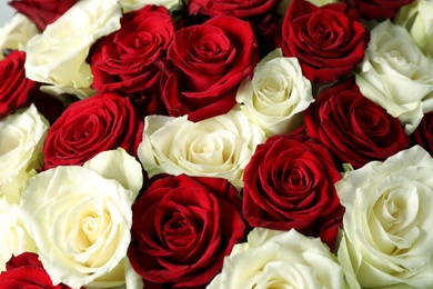 Photo of Luxury bouquet of fresh roses as background, closeup