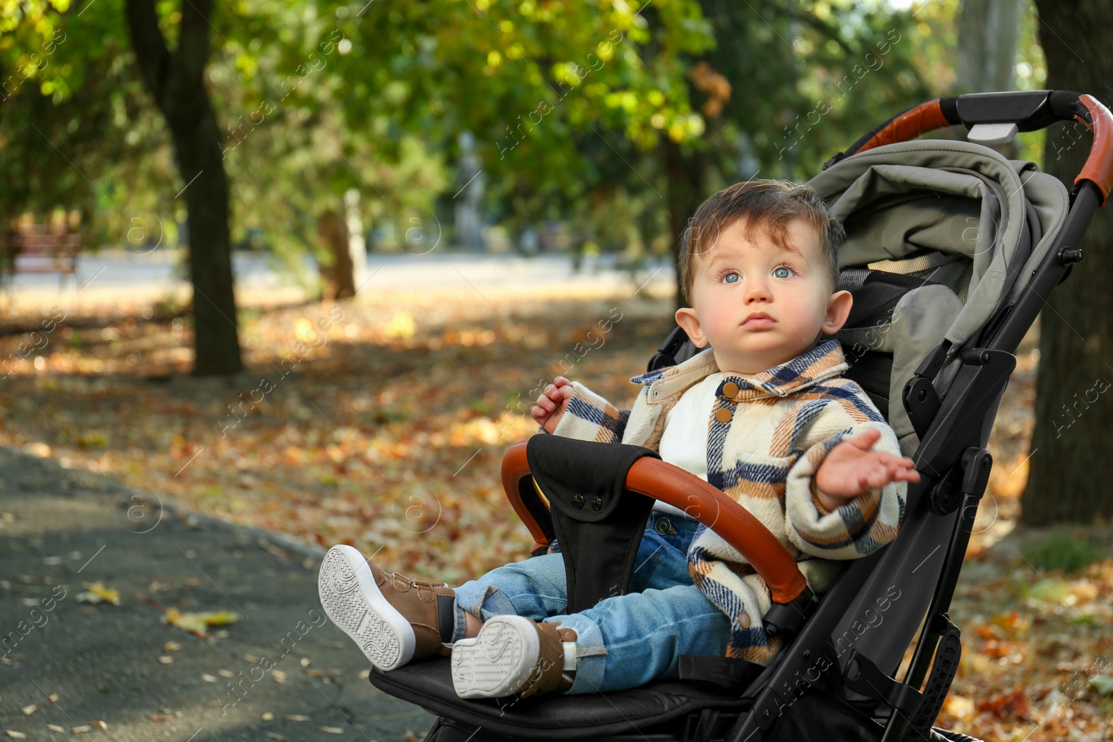 Photo of Cute little child in stroller in autumn park, space for text