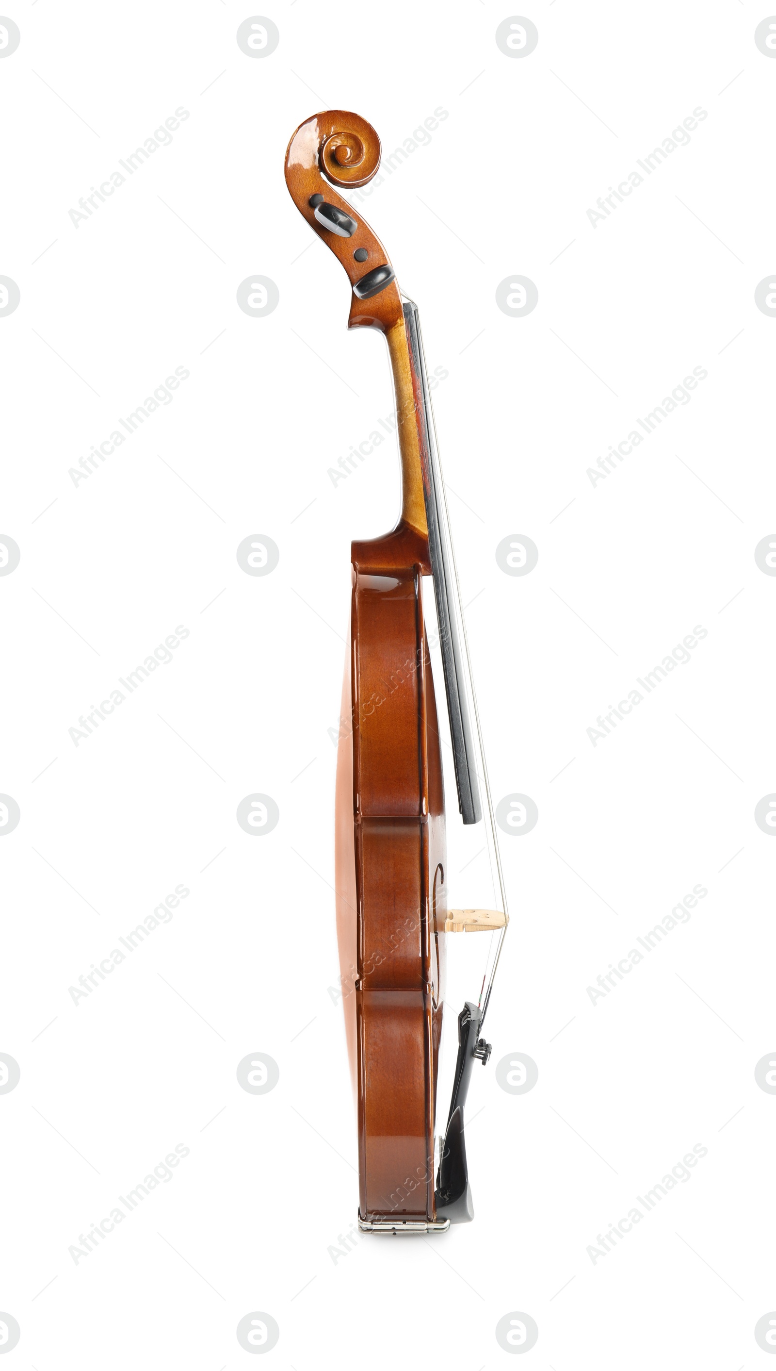 Photo of Beautiful classic violin isolated on white. Musical instrument