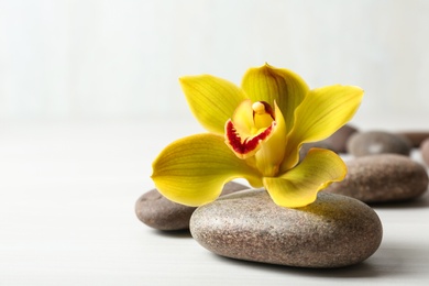 Photo of Spa stones and flower on white table, space for text