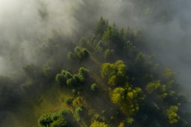 Image of Aerial view of beautiful landscape with misty forest 