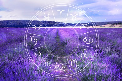 Image of Zodiac wheel and beautiful blooming lavender meadow