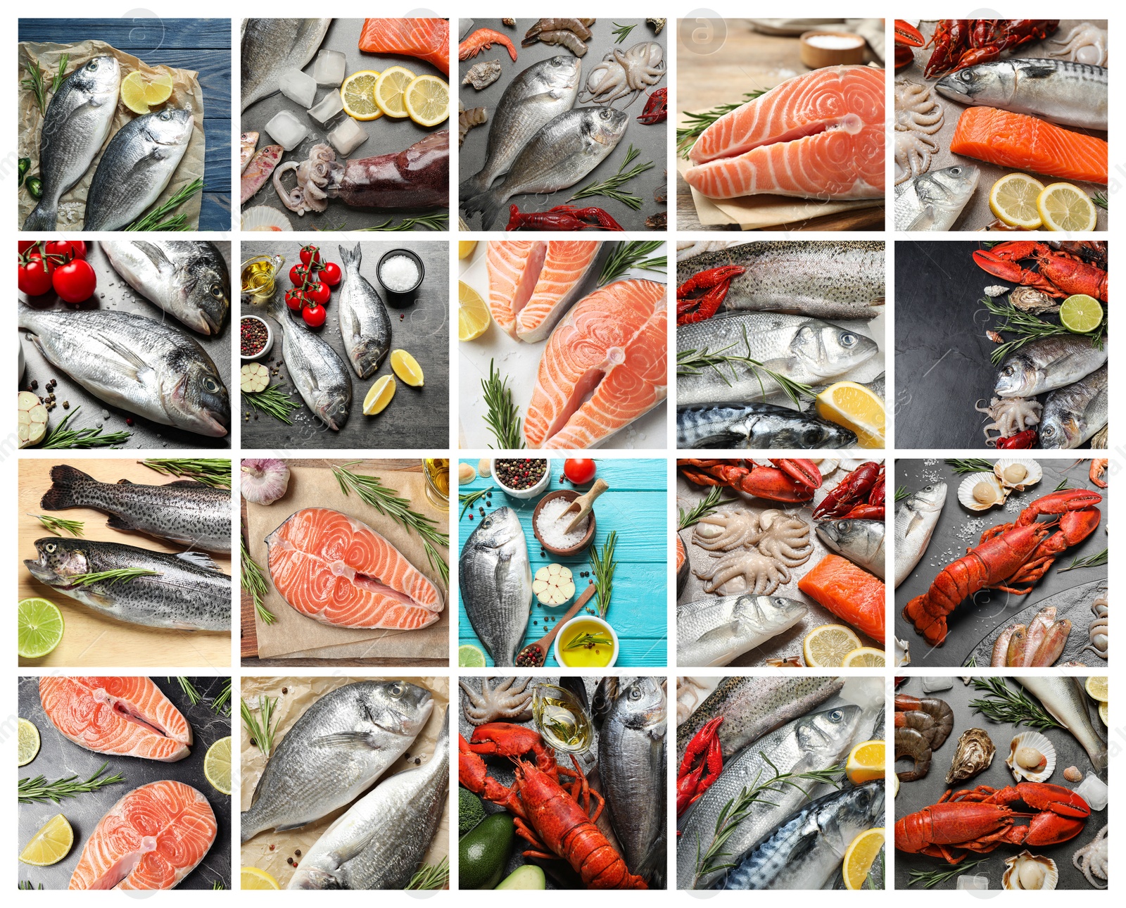 Image of Collage with various fresh fishes and seafood