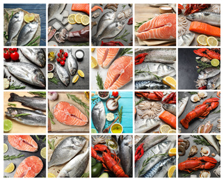 Image of Collage with various fresh fishes and seafood