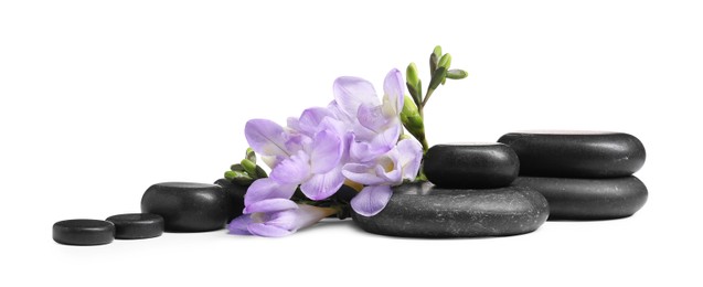 Photo of Beautiful violet freesia flowers and stones isolated on white