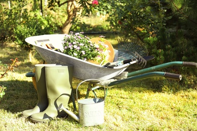 Photo of Wheelbarrow and gardening tools in backyard on sunny day