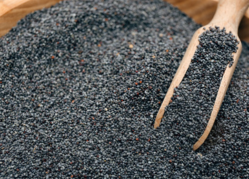 Photo of Poppy seeds and wooden scoop in bowl, closeup
