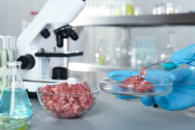 Analyst holding petri dish with raw meet and tweezers, closeup. Laboratory analysis