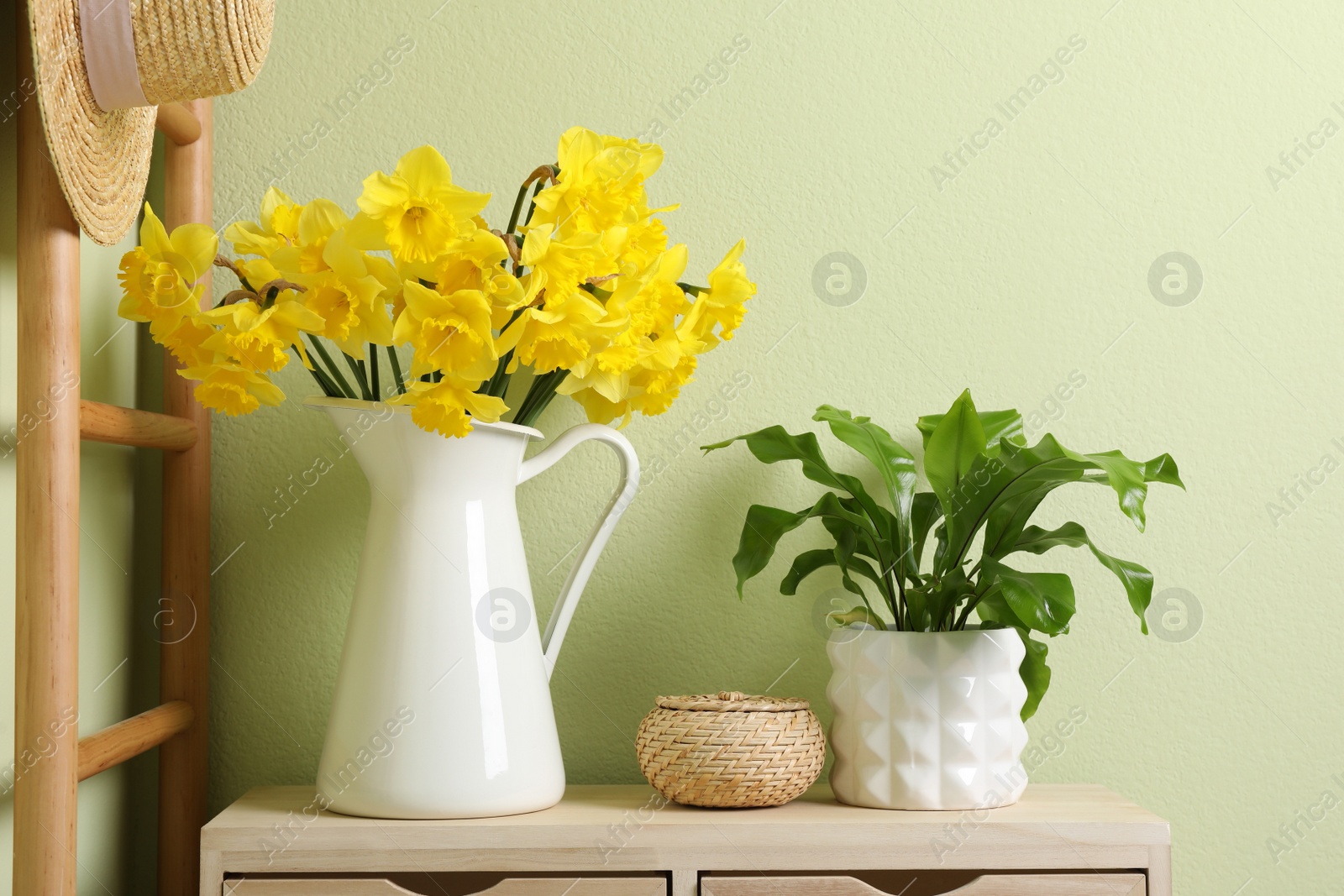 Photo of Jug with beautiful daffodils and houseplant on table indoors