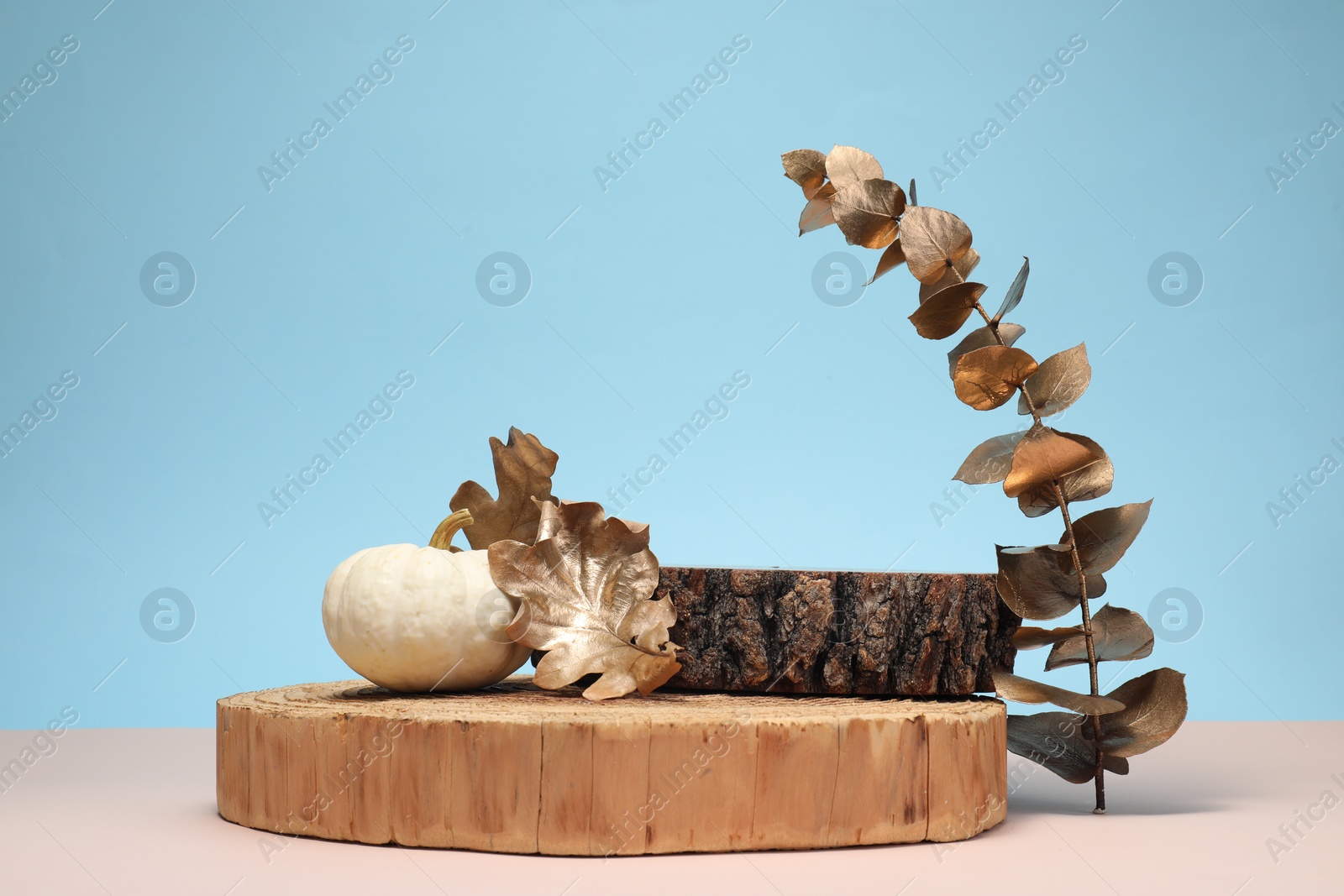 Photo of Autumn presentation for product. Wooden stumps, pumpkin and golden leaves on color background