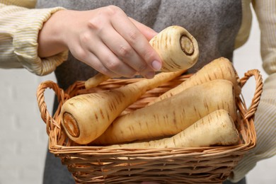 Photo of Woman with fresh ripe parsnips on white background, closeup