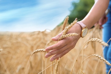 Photo of Young woman in grain field, closeup. Cereal farming
