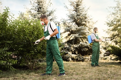 Workers spraying pesticide onto bushes outdoors. Pest control