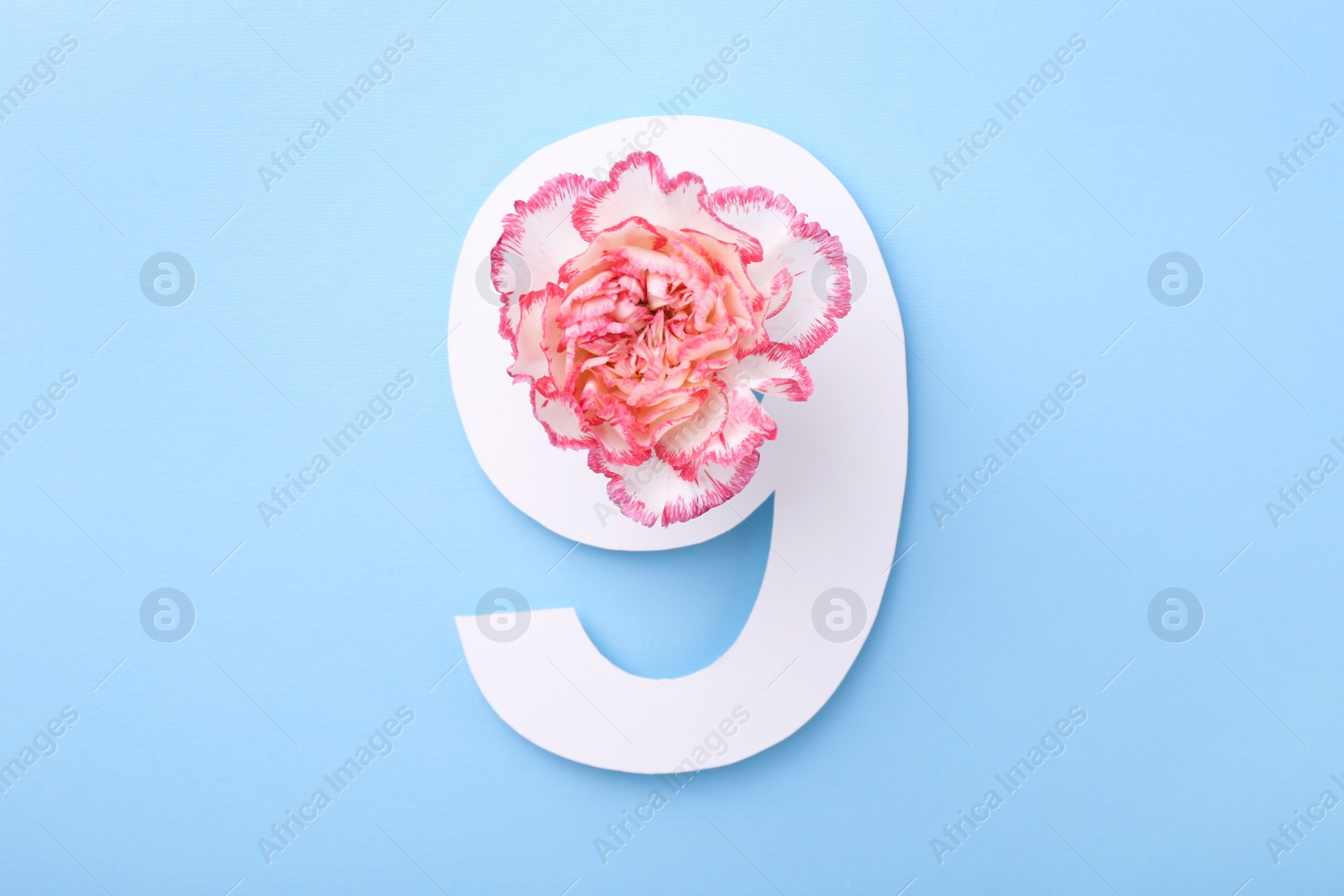 Photo of Paper number 9 and beautiful flower on light blue background, top view