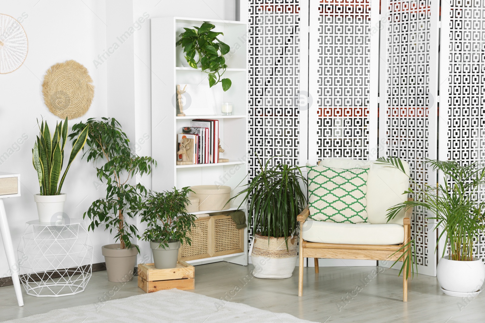 Photo of Stylish room interior with comfortable armchair and beautiful houseplants