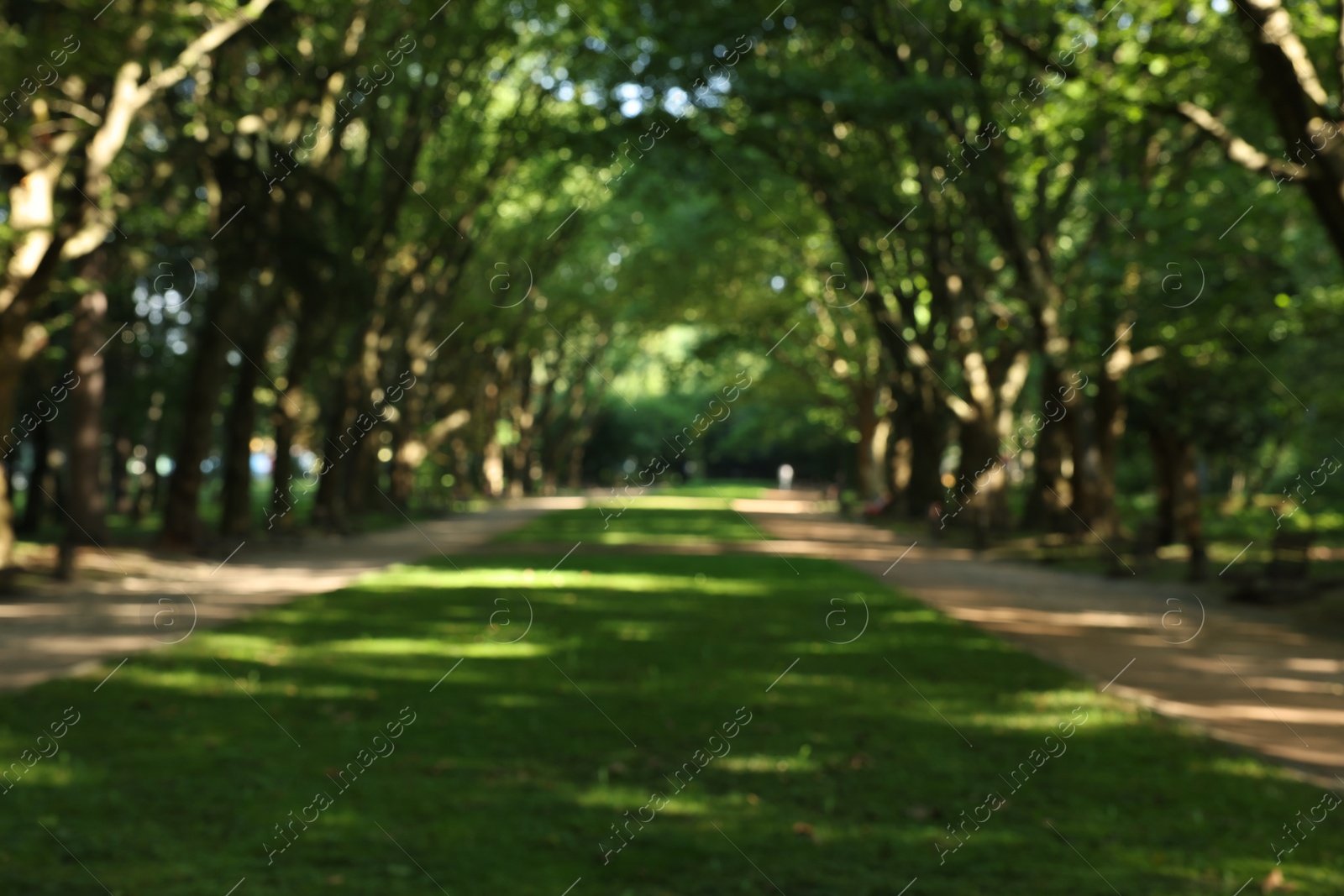 Photo of Blurred view of tranquil green park on sunny day