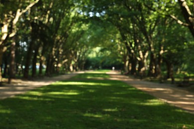 Blurred view of tranquil green park on sunny day